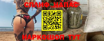 шишки Ставрополь