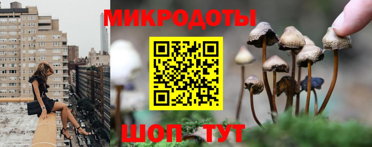 Галлюциногенные грибы Psilocybine cubensis Междуреченск